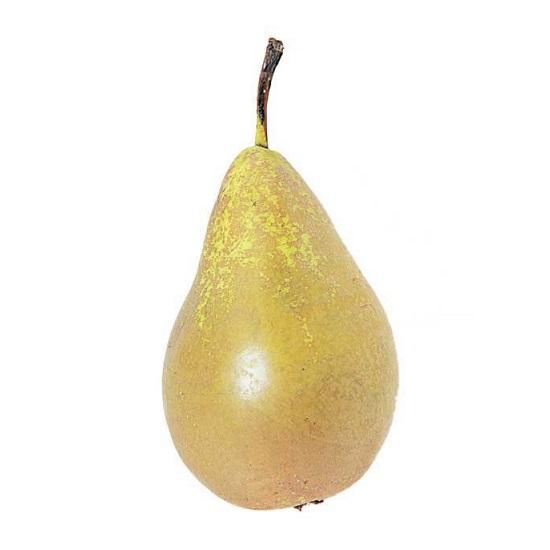 bosc-pears