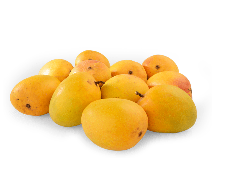 mango-case
