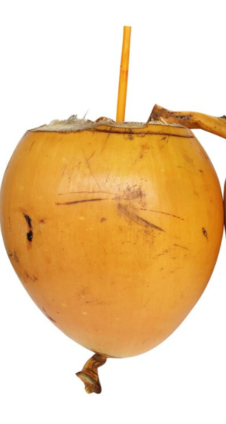 tica-green-coconut