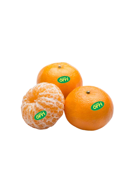 orri-israel-tangerine