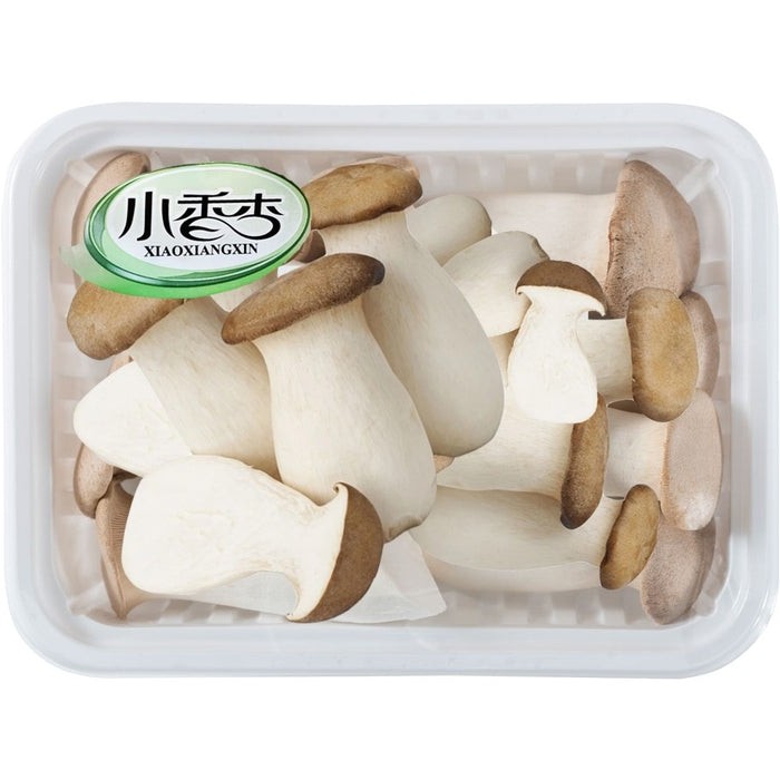 xiao-xiang-xing-mushrooms