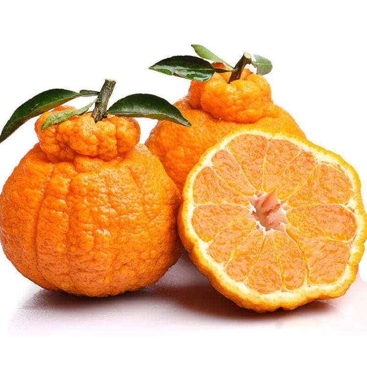 ugly-tangerine