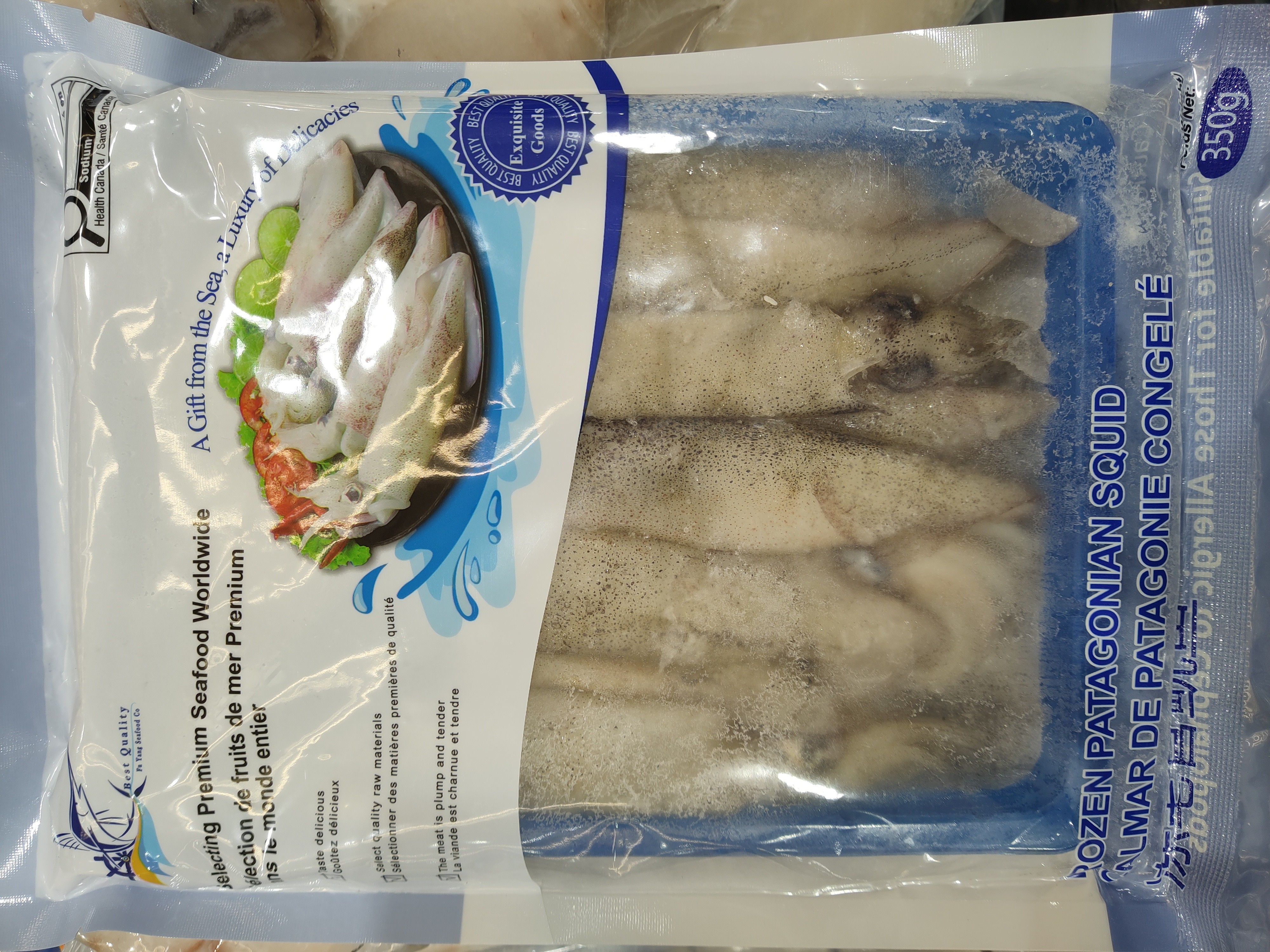 frozen-patagonia-squid