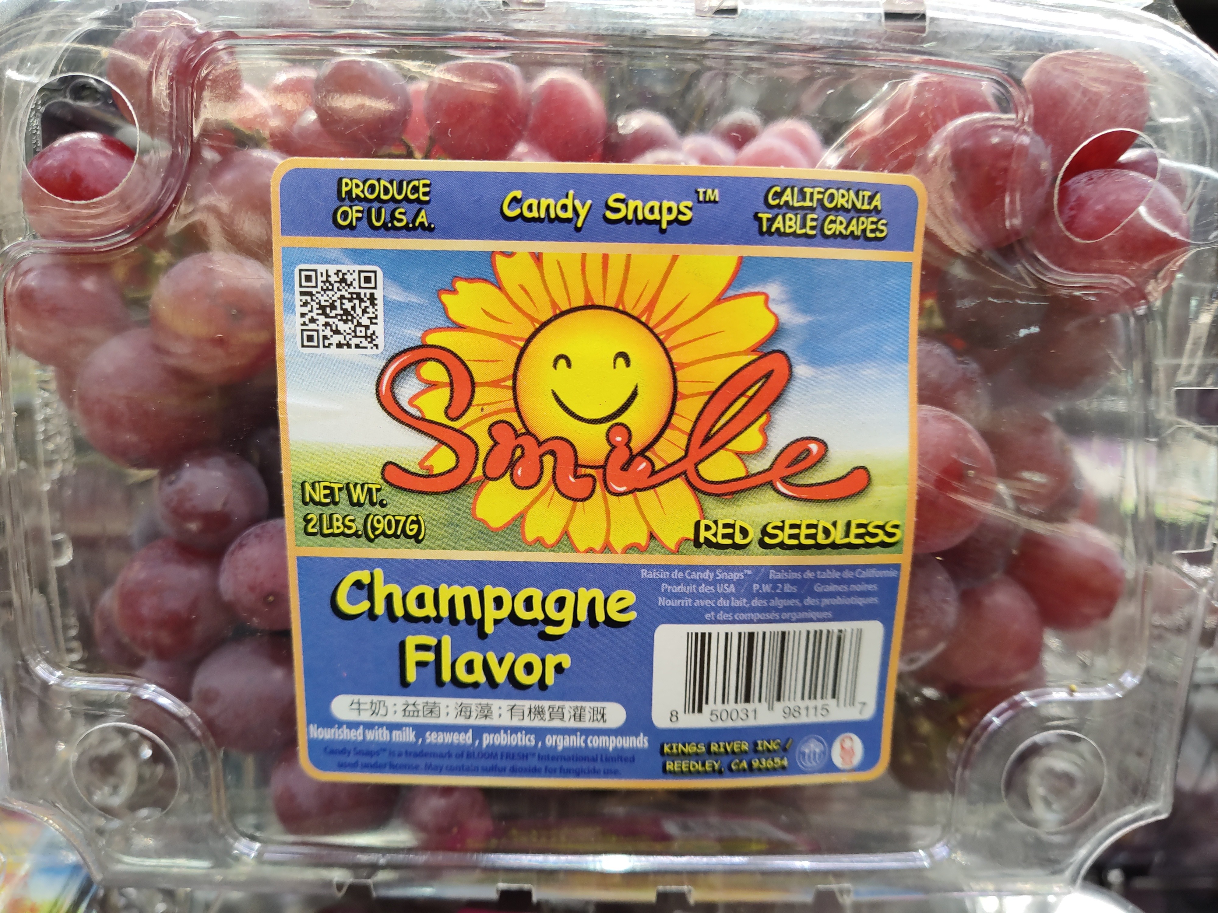 champagne-grape-seedless
