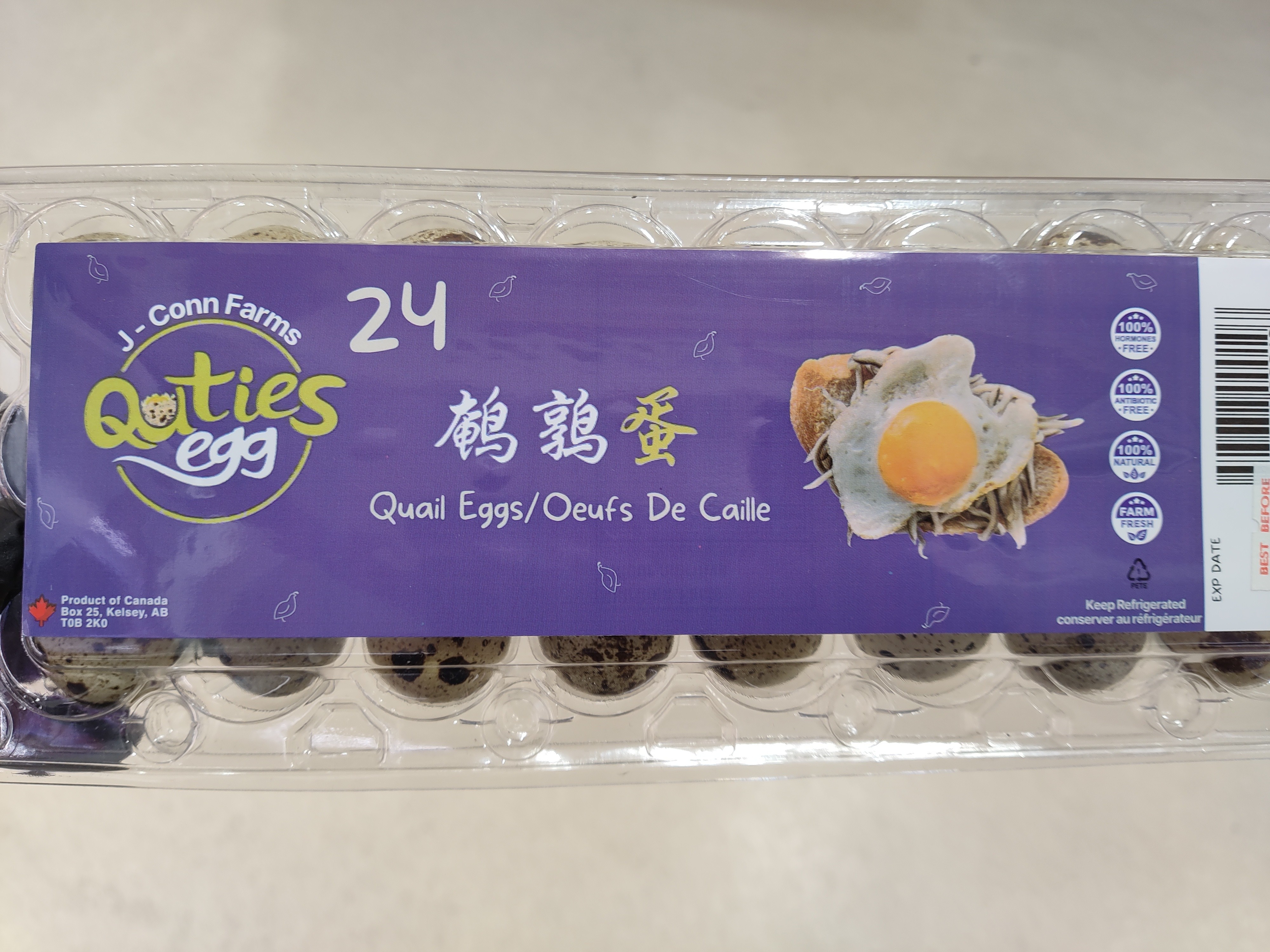 24quail-eggs