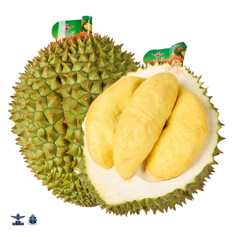 fresh-vietnam-ri6-durian-by-air