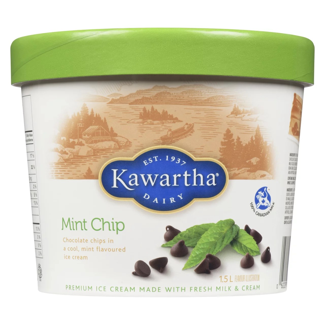 kawartha-ice-cream-mint-chip