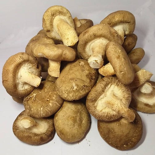 fresh-mushroom