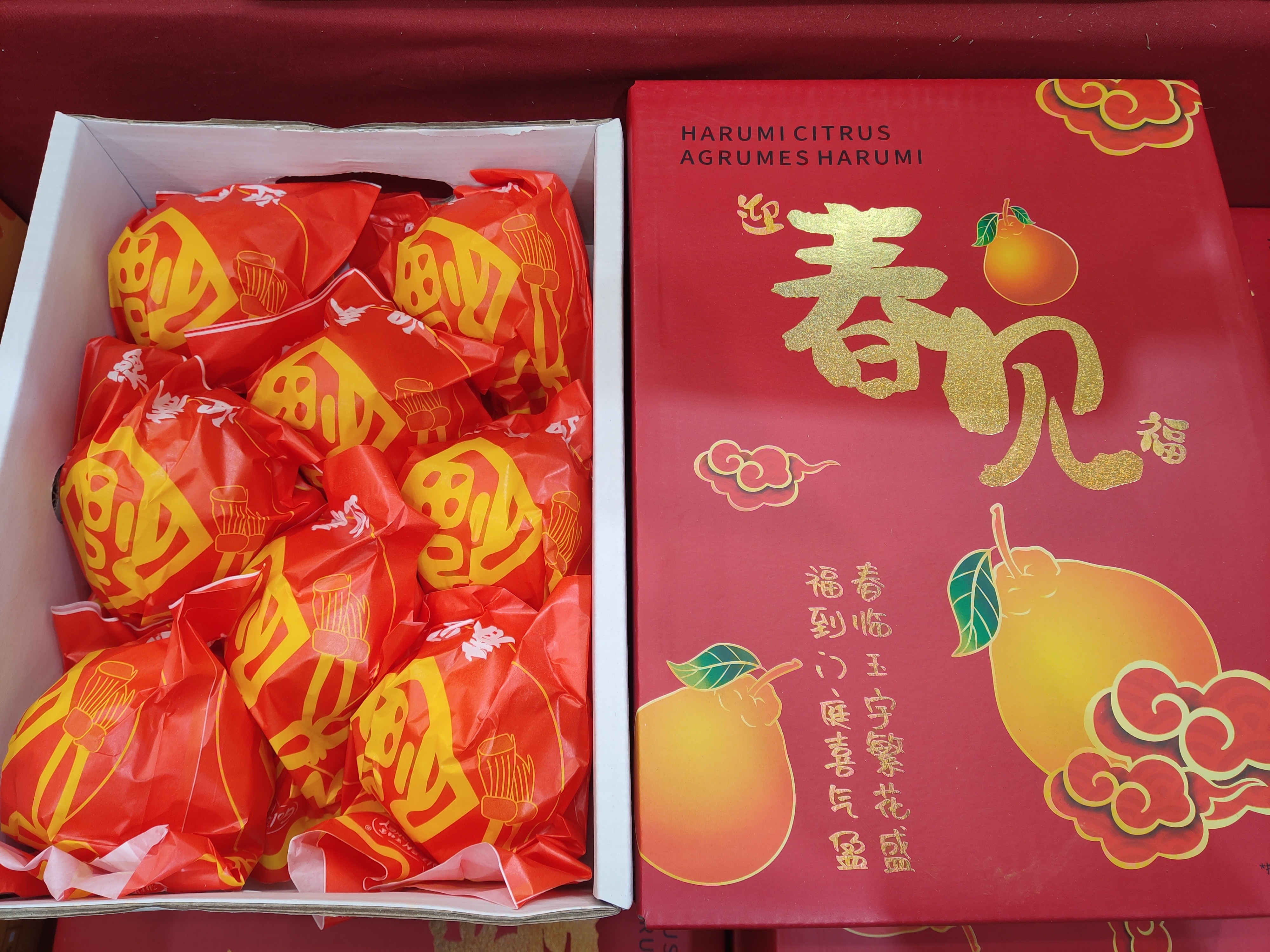 harumi-citrus-gift-box