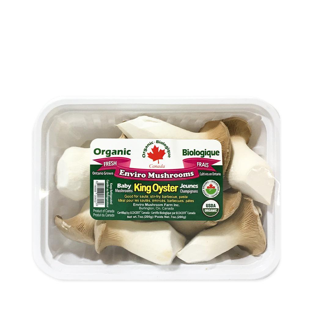 enviro-organic-baby-king-oyster-mushroom