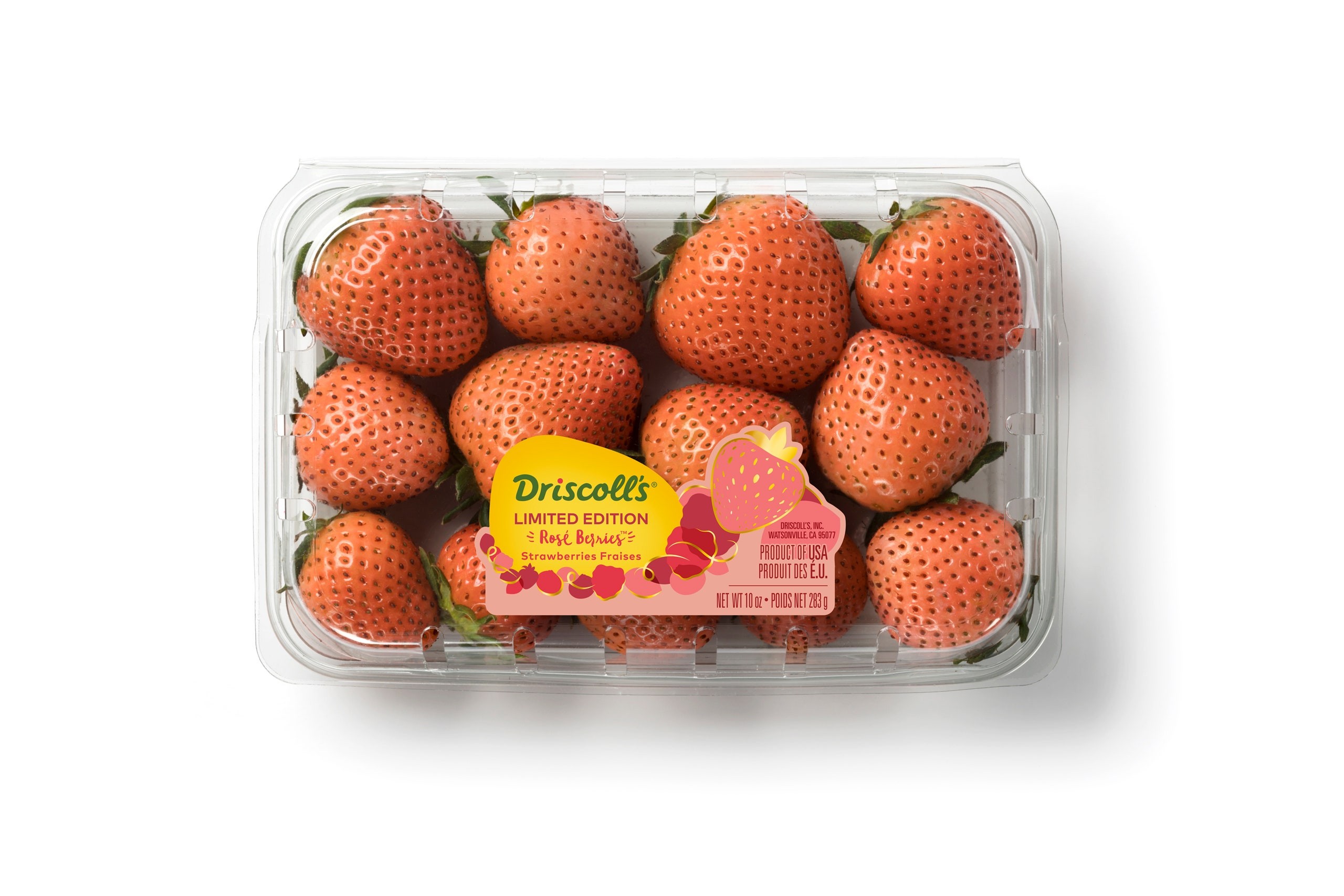 driscolls-rose-sweet-strawberry