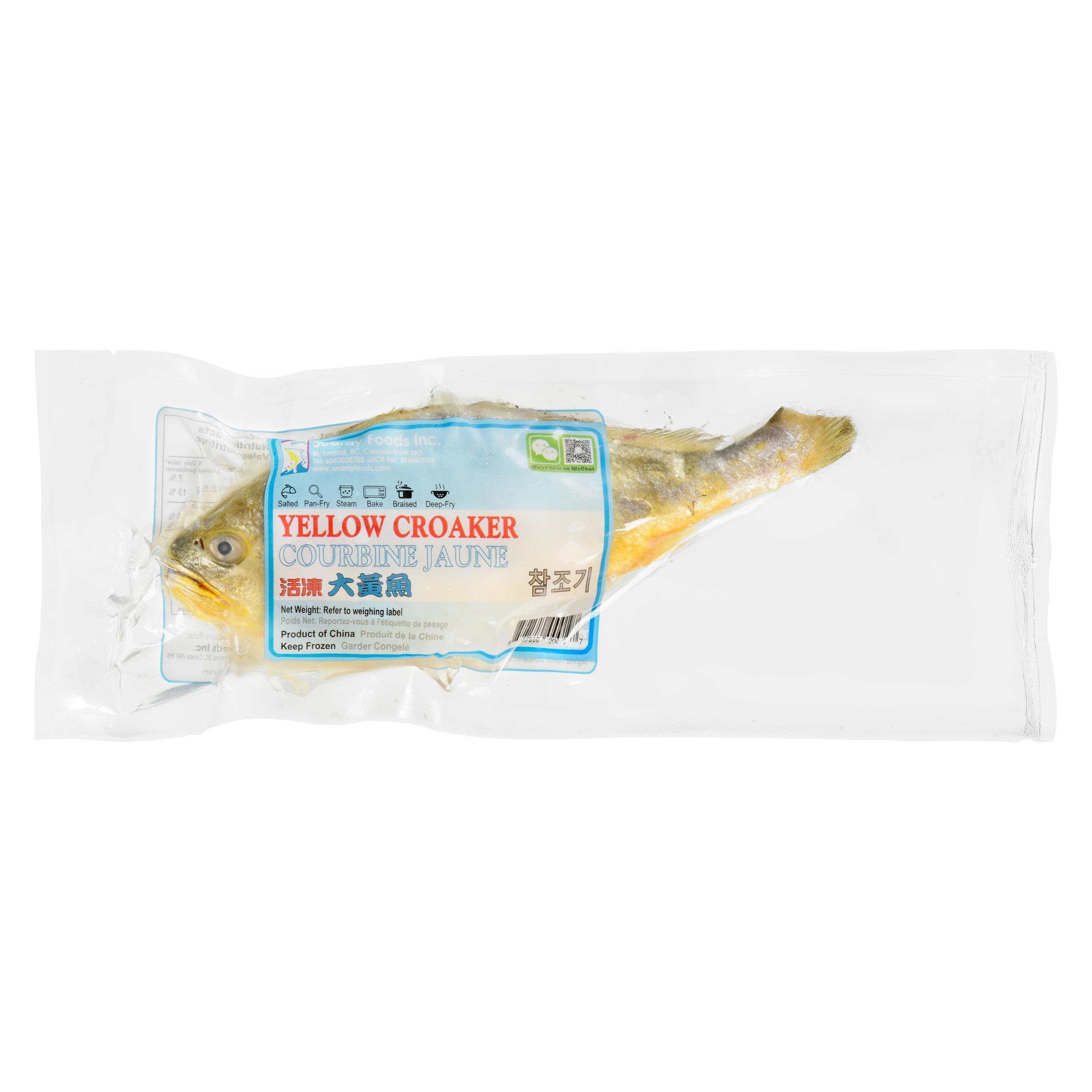 searay-yellow-croaker