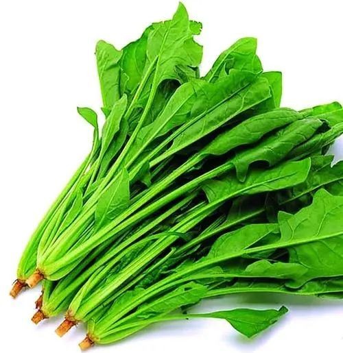 fresh-spinach-loose