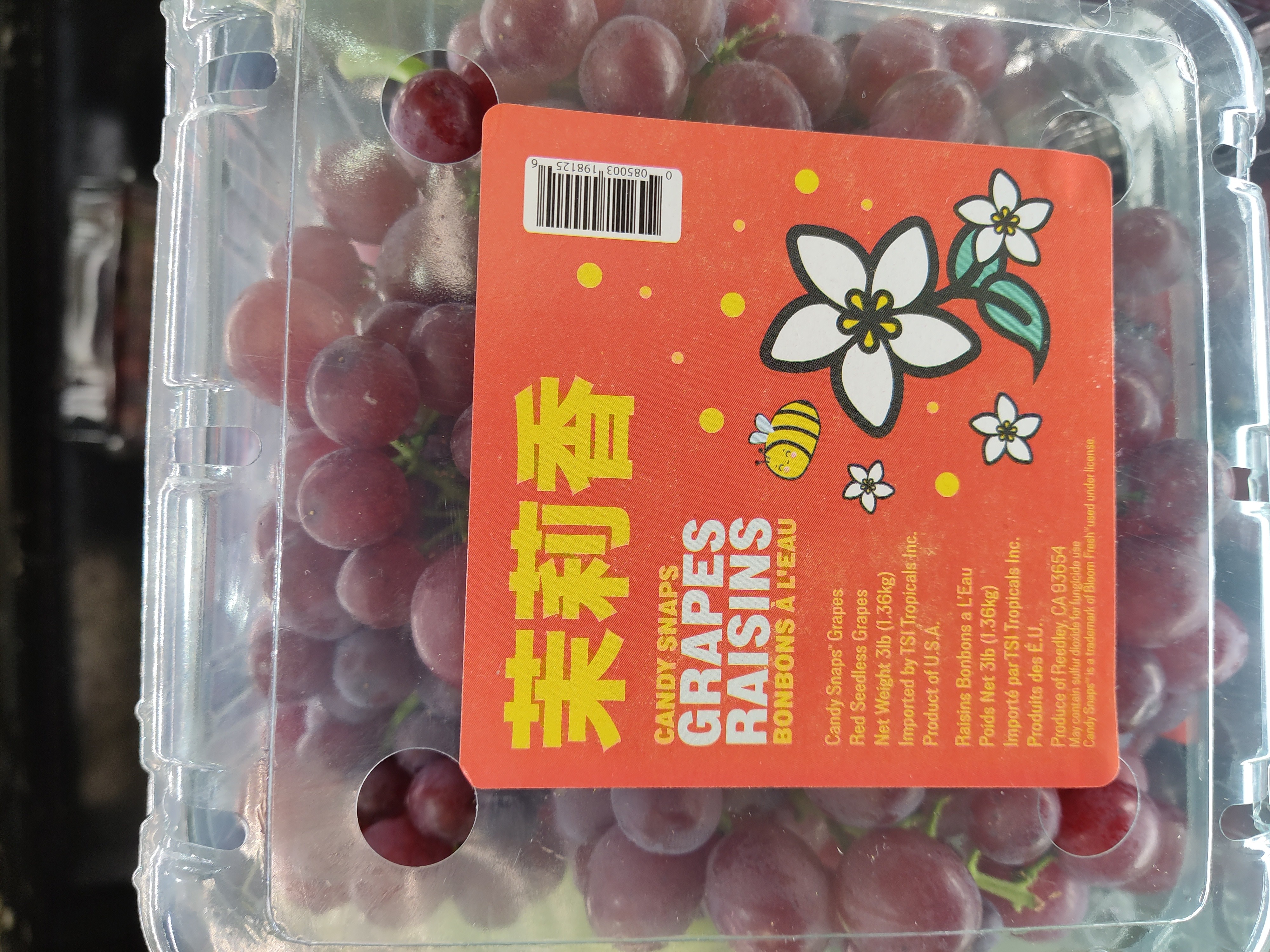 candy-snaps-grapes-raisins-box