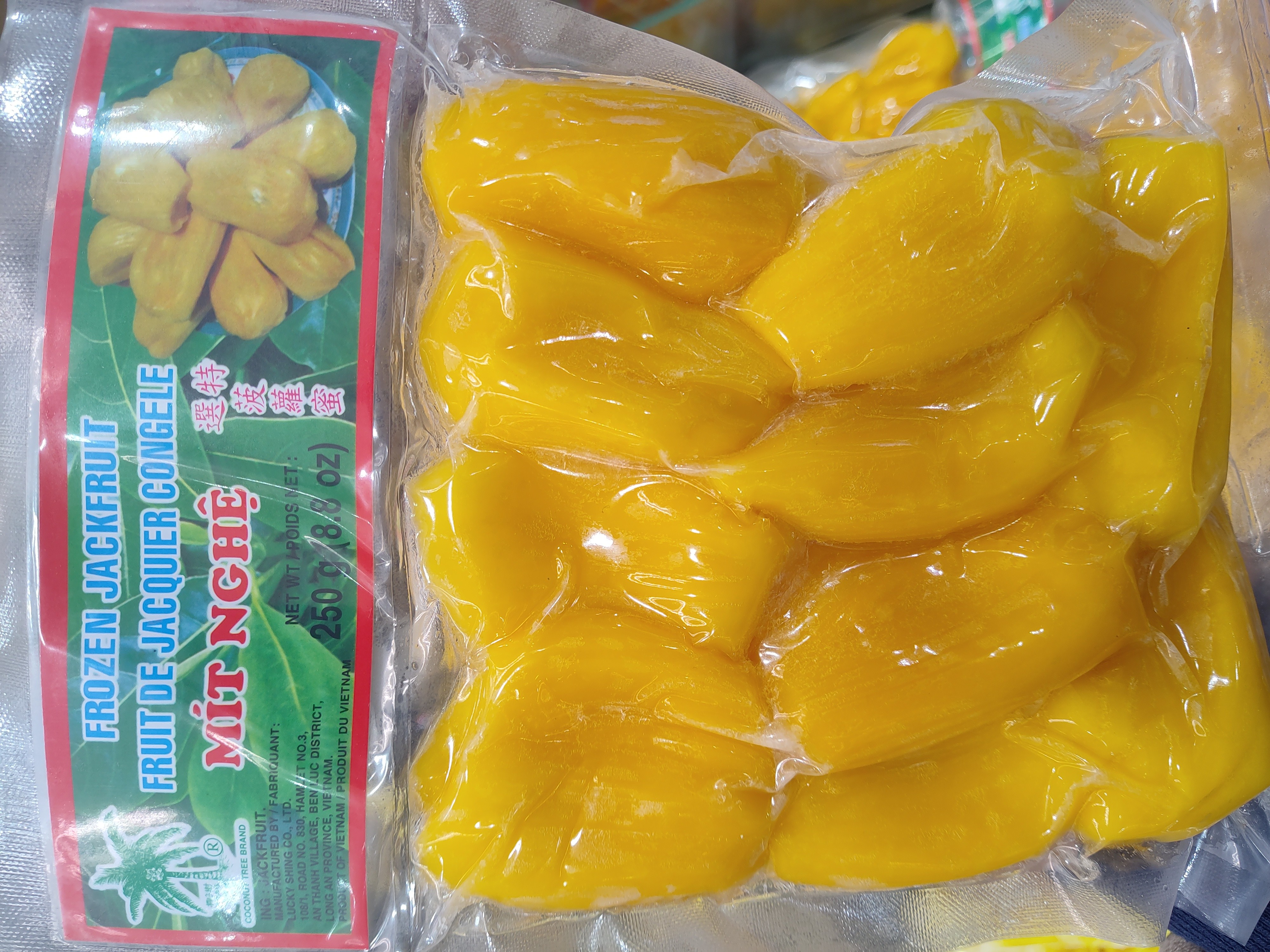 frozen-jackfruit-frozen-jackfruit