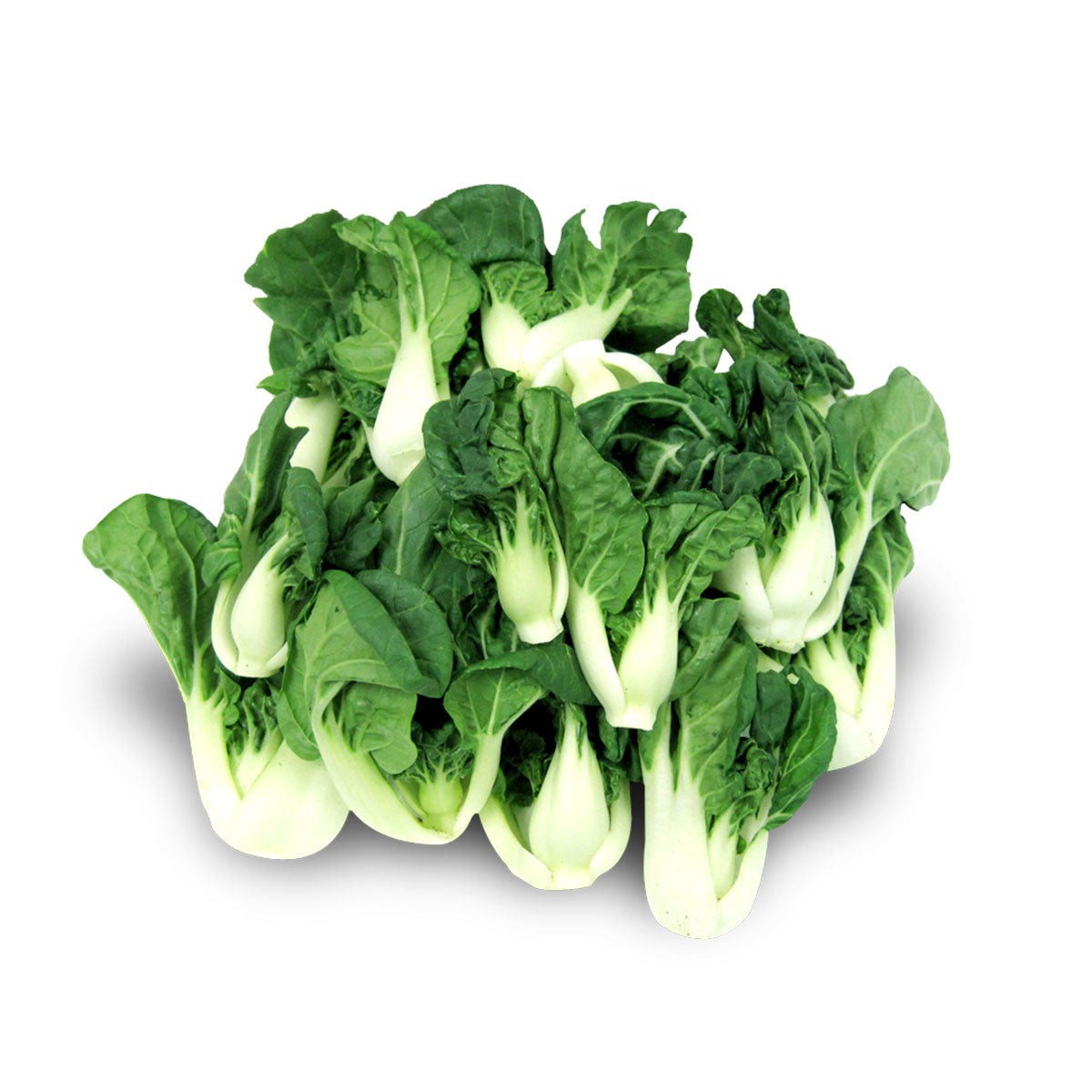 fresh-baby-bok-choy