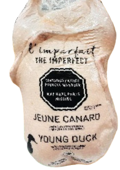 frozen-grade-u-young-duck