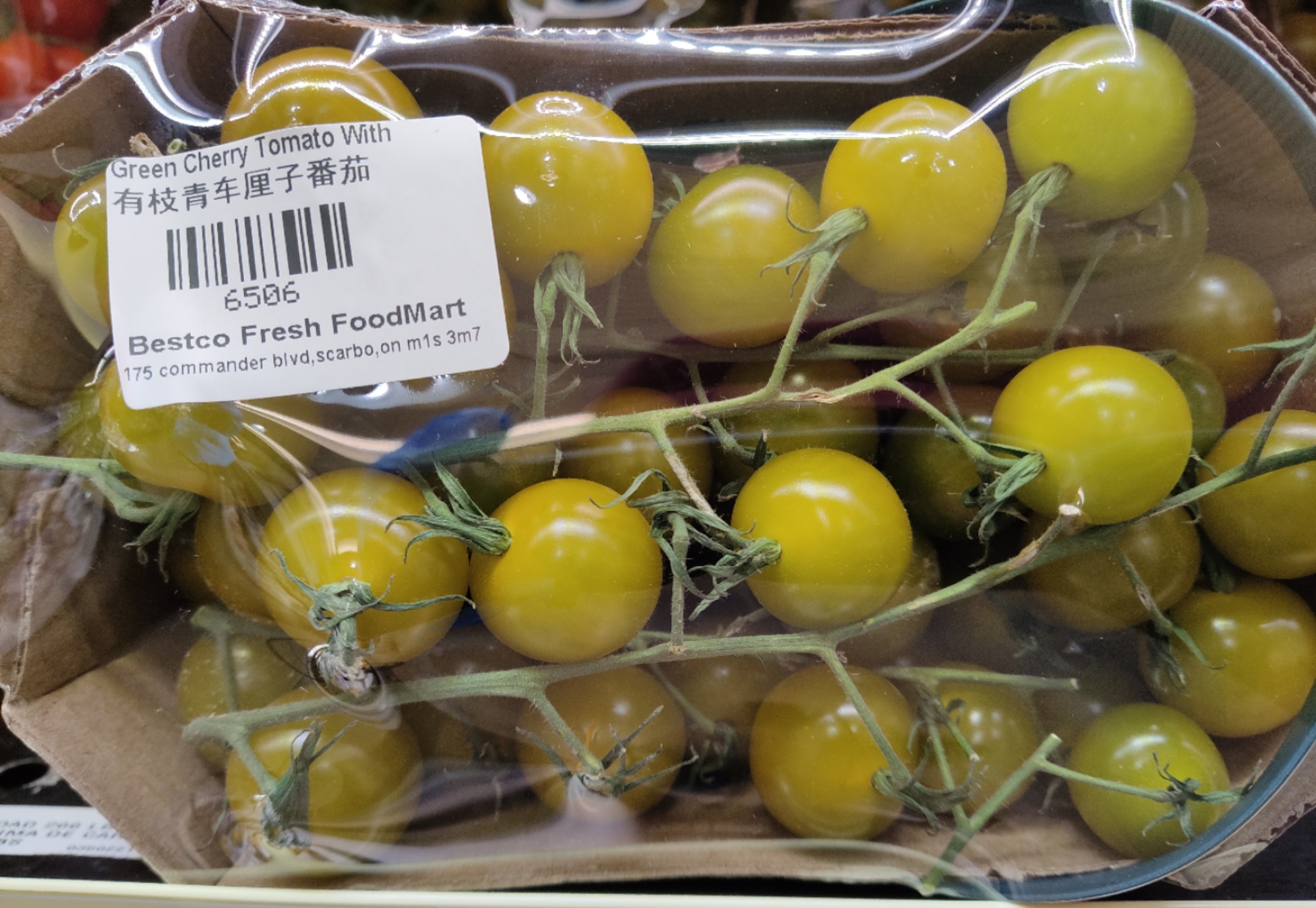 green-cherry-tomato-with-branch
