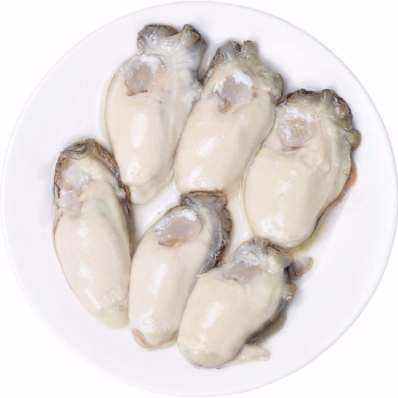 oysters-meats-large