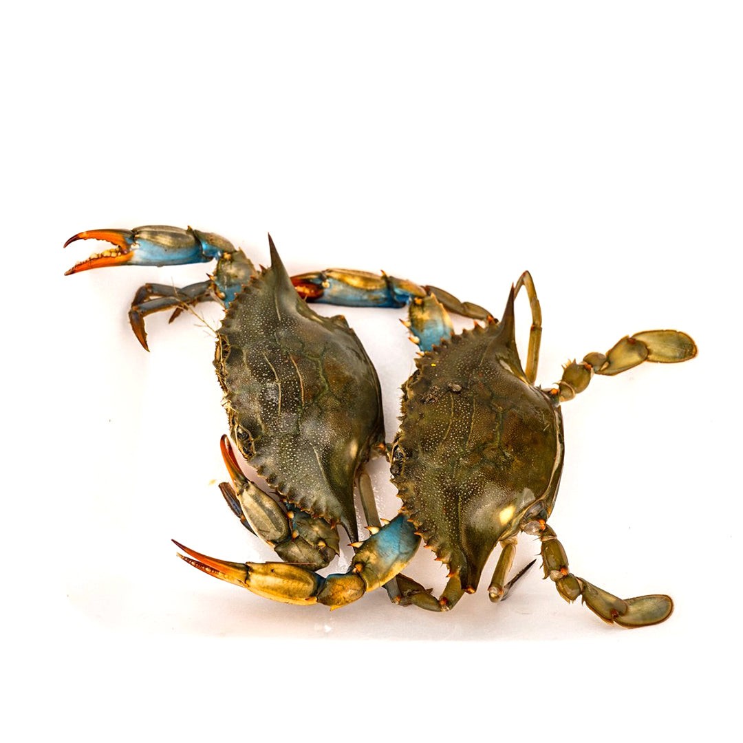 blue-crabs-2pcs
