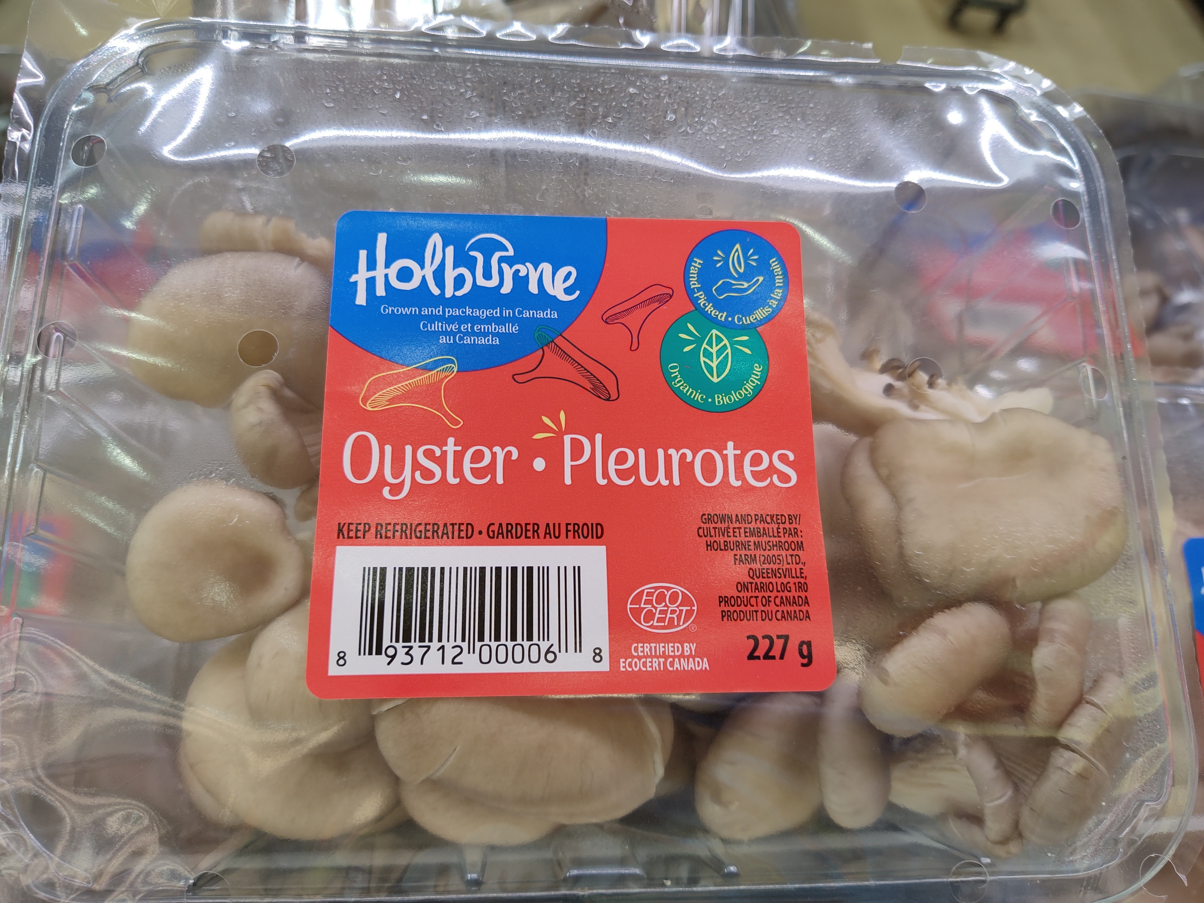 oyster-mushrooms