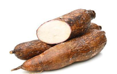 cassava