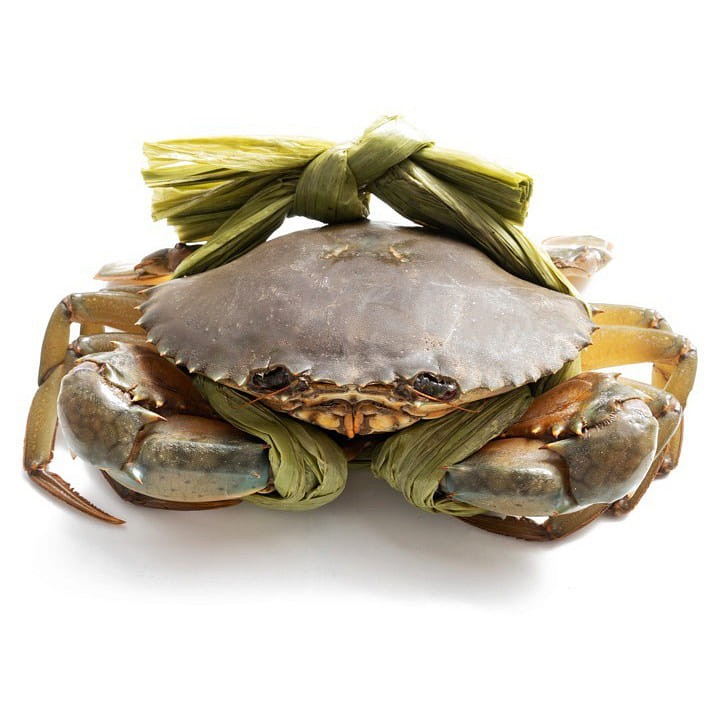 live-meate-crab