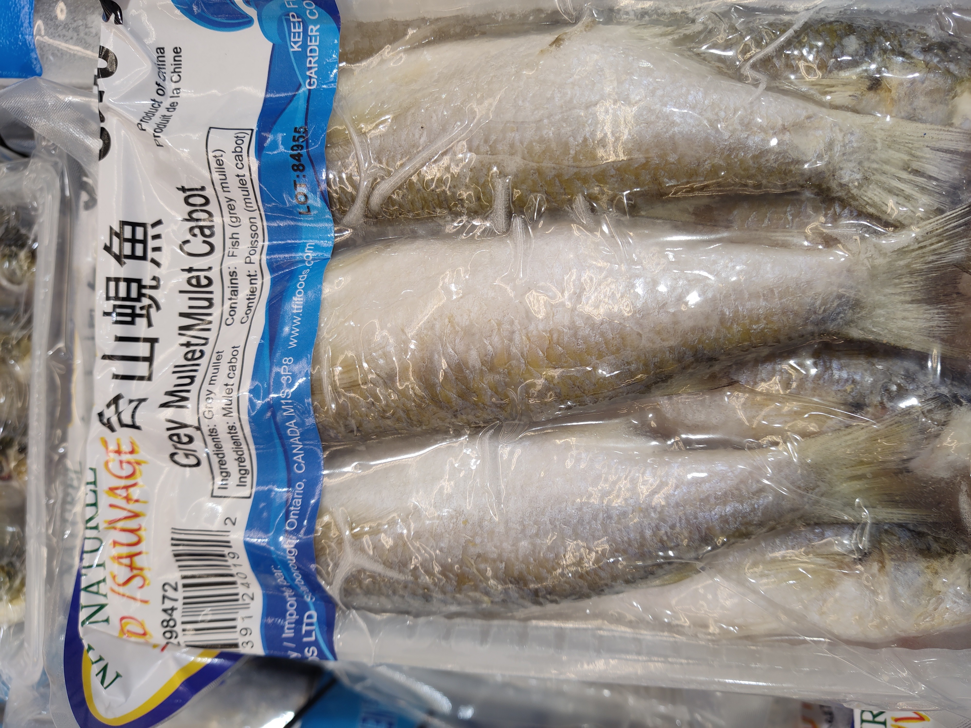 htl-grey-mullet