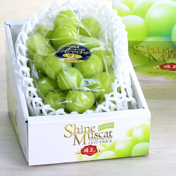 premium-shine-muscat-grapes-imported-from-korea-bag