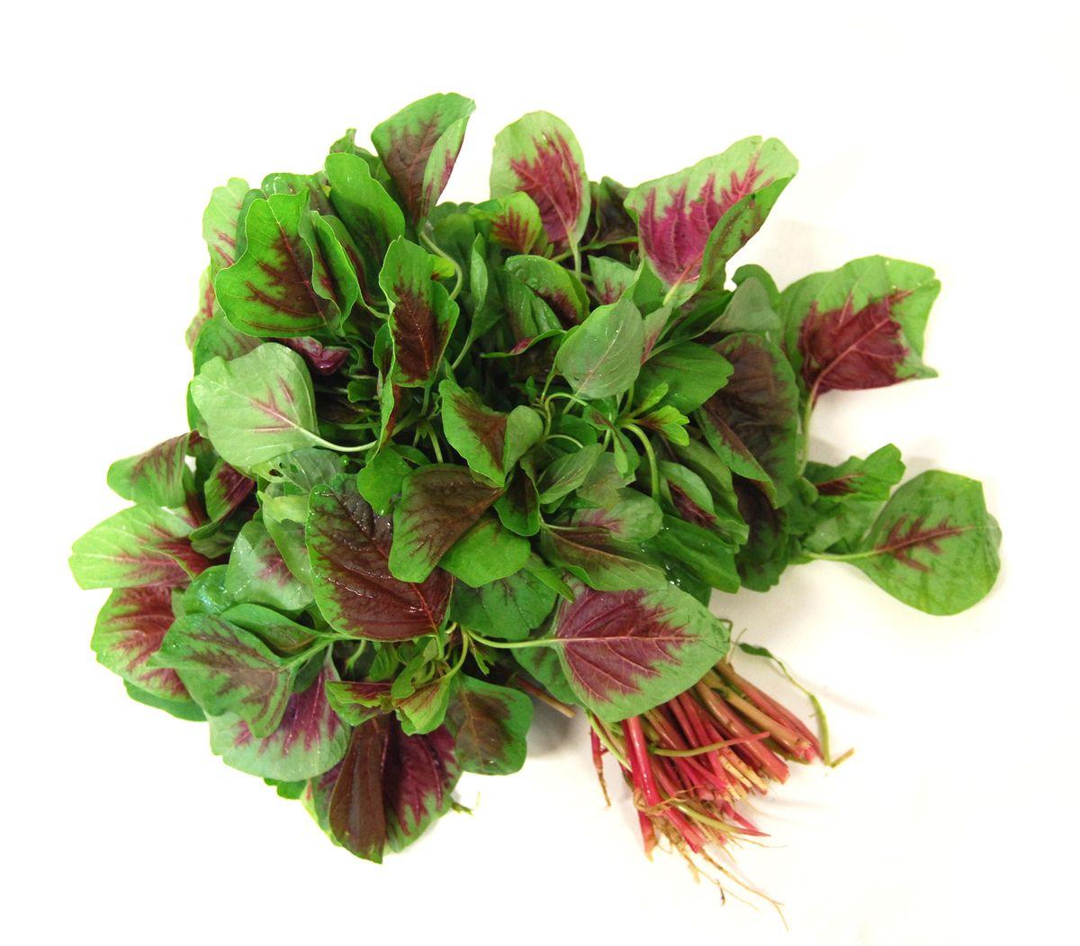 fresh-red-amaranth-tips-bag