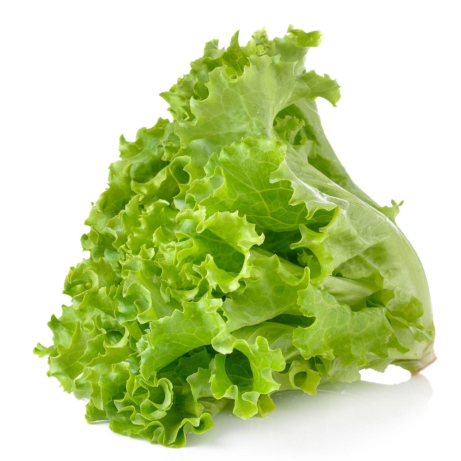 green-leaf-lettuce