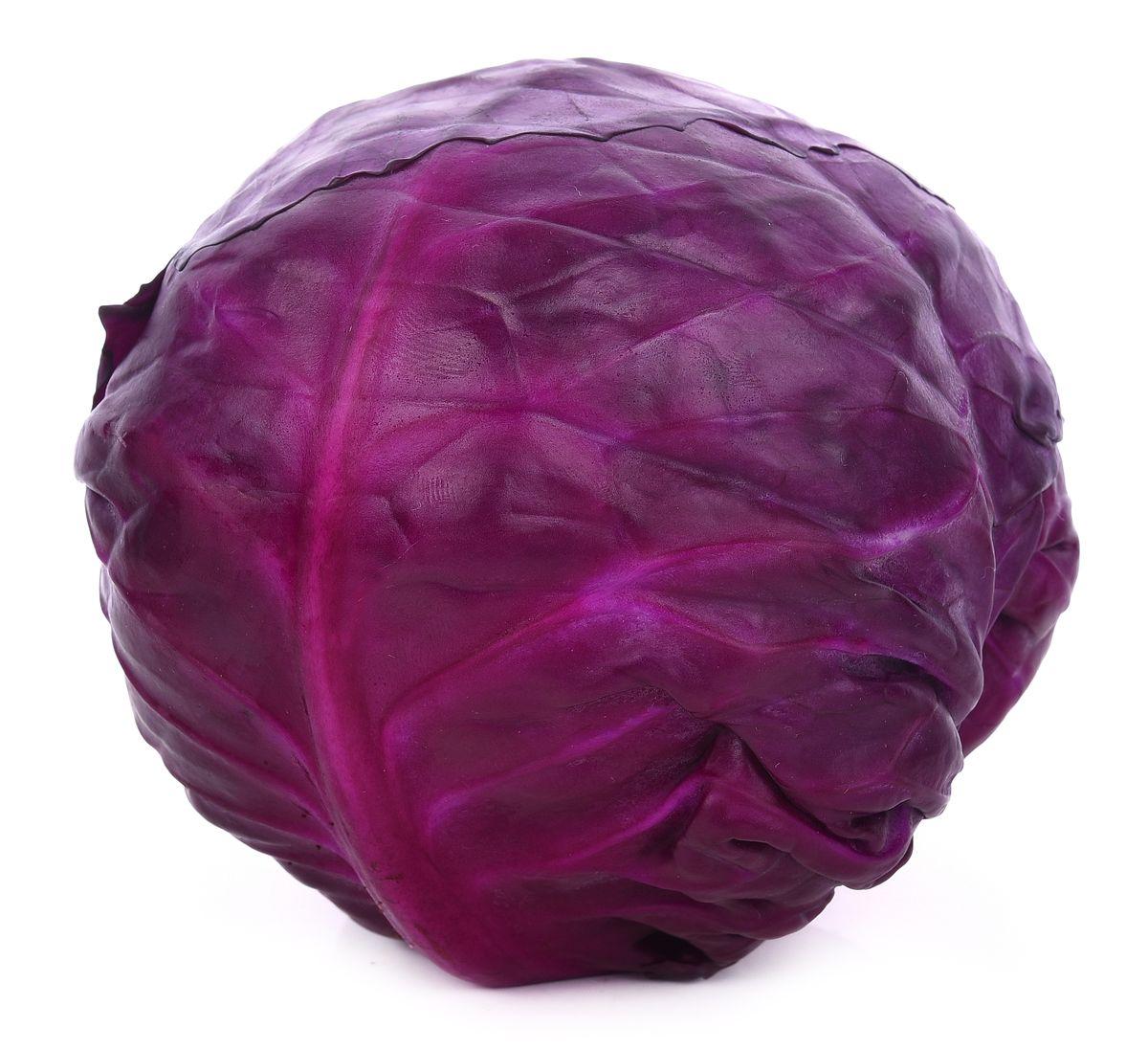 fresh-purple-cabbage