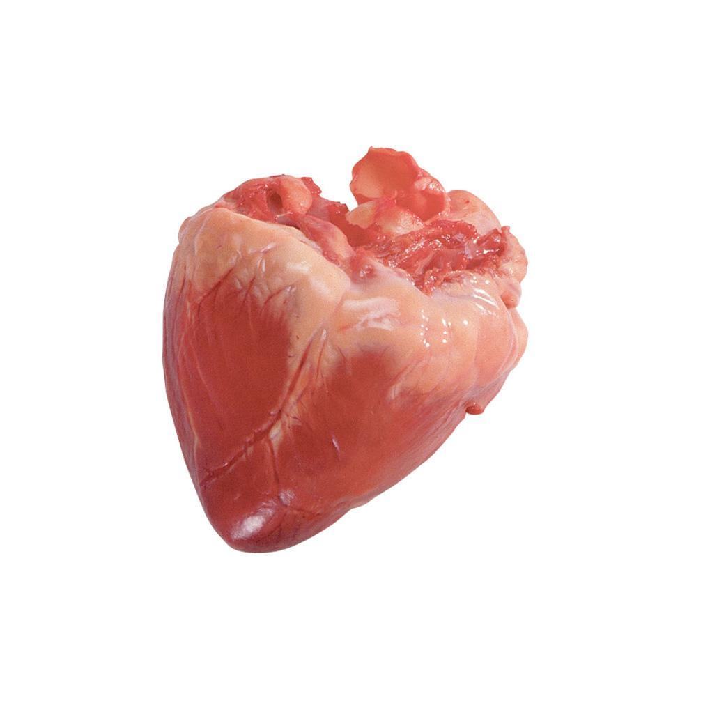 pork-heart-pack