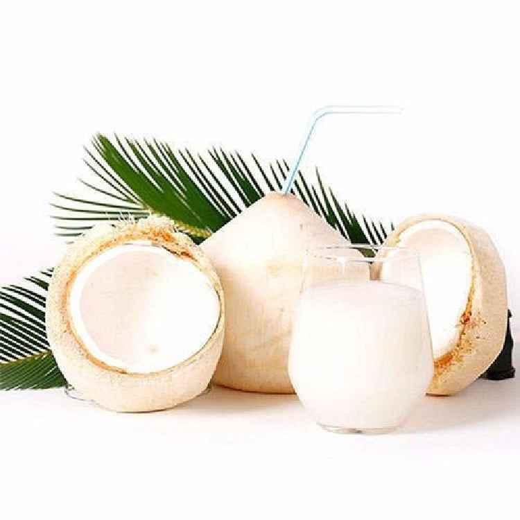 young-coconut-with-straw