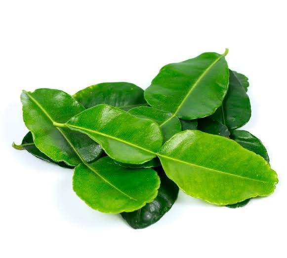 lime-leave