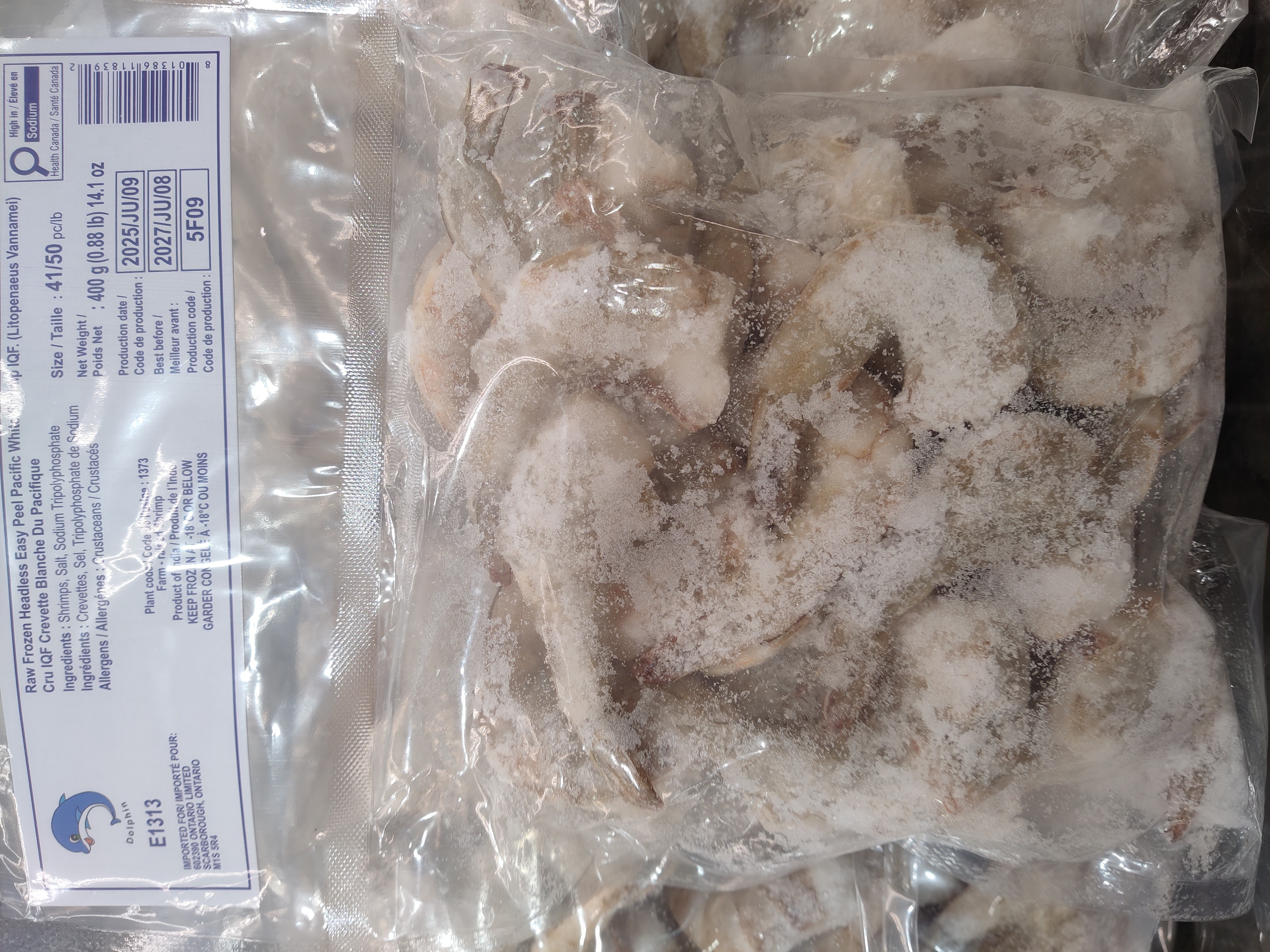 headless-white-shrimp-31-40