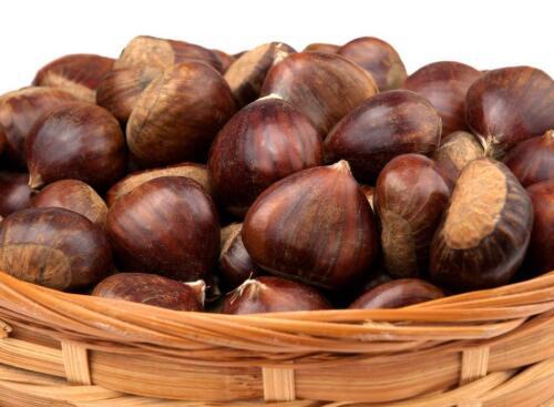 chestnut-bag