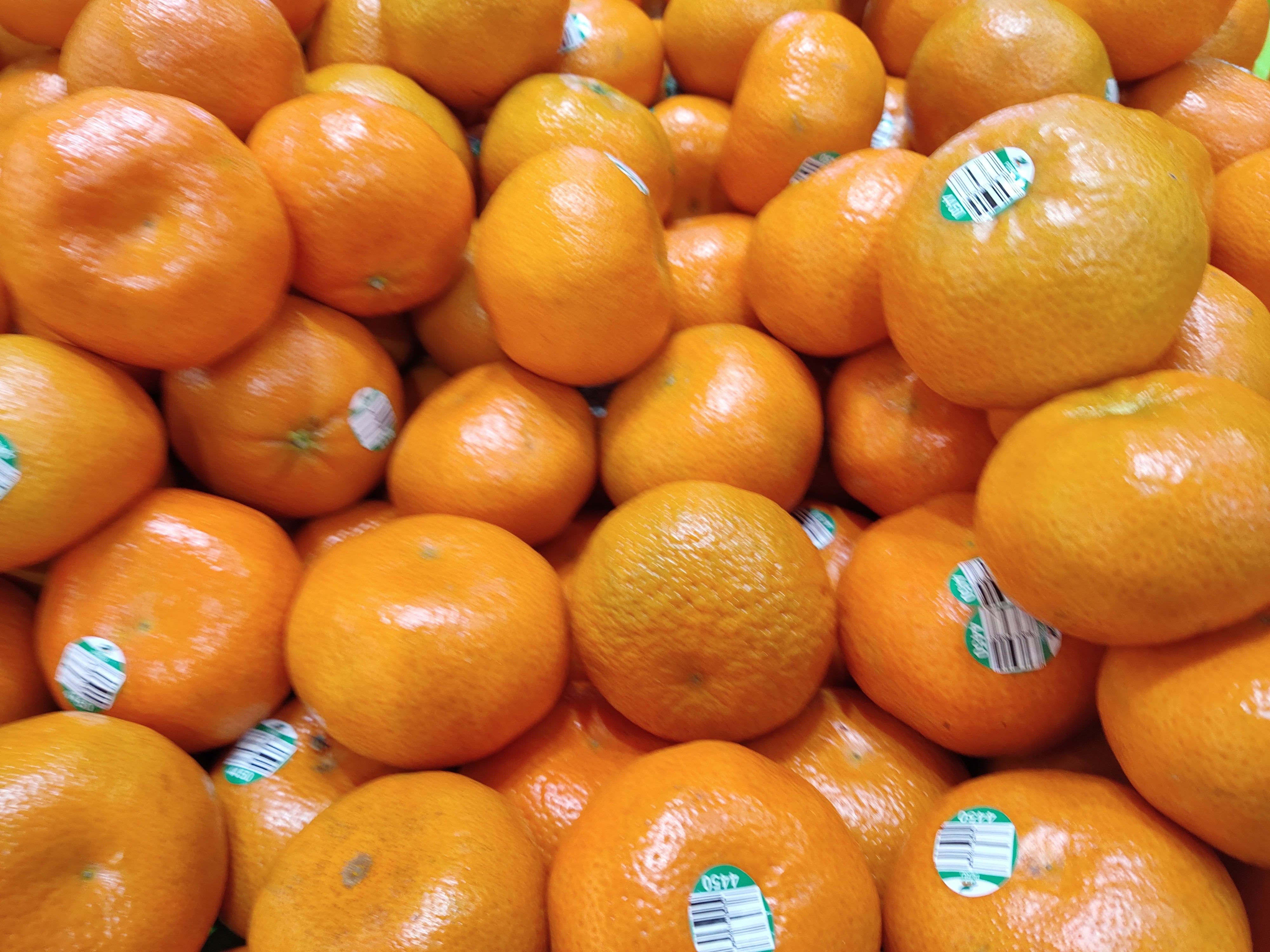 tangerine