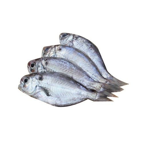 butter-fish-2pcs