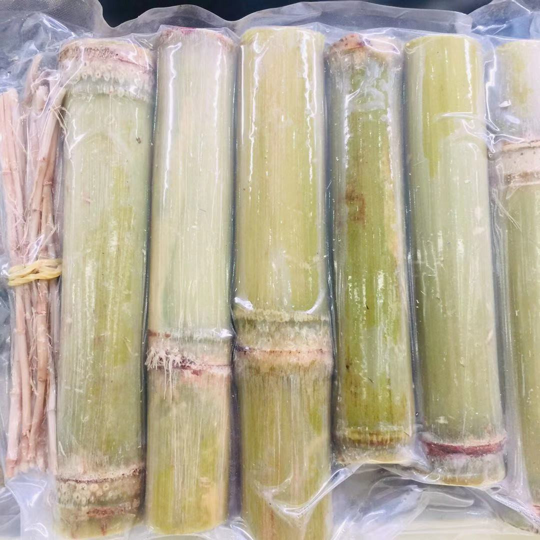 fresh-bamboo-cane-root